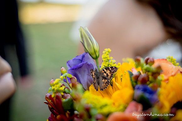 65