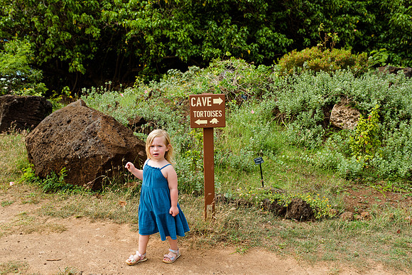 hawaii-46