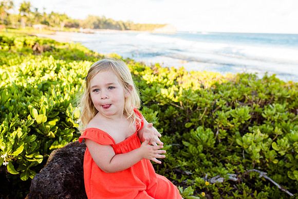 hawaii-286