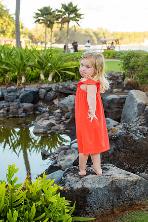 hawaii-334