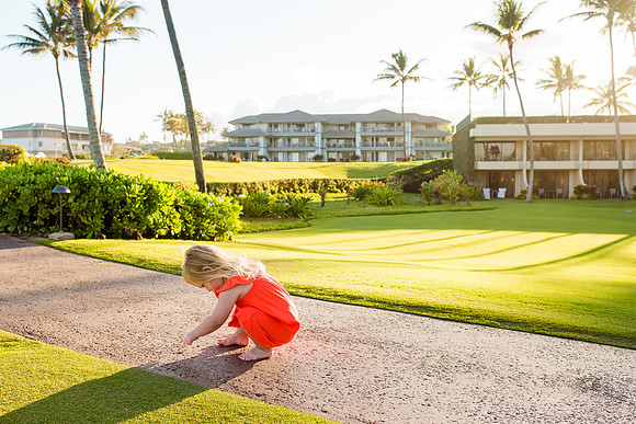 hawaii-299