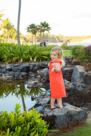 hawaii-332