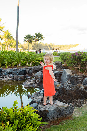hawaii-333