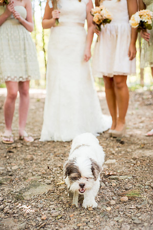 4WeddingParty&Fam1-17