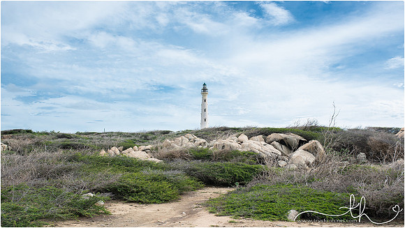 aruba-49