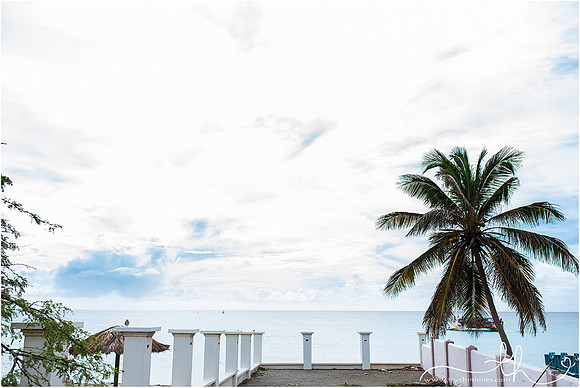 aruba-53