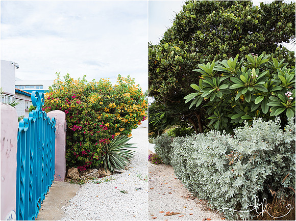 aruba-54