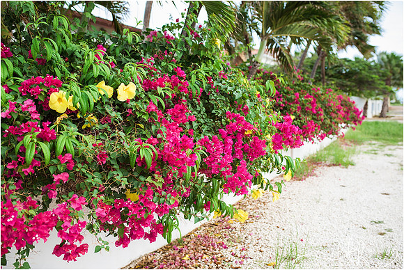 aruba-56