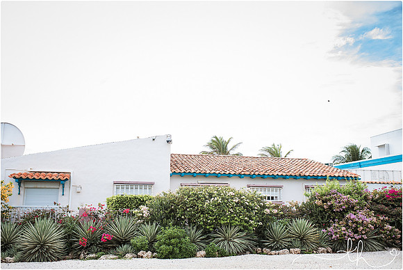 aruba-58