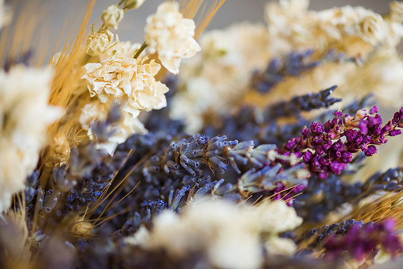 THP-26